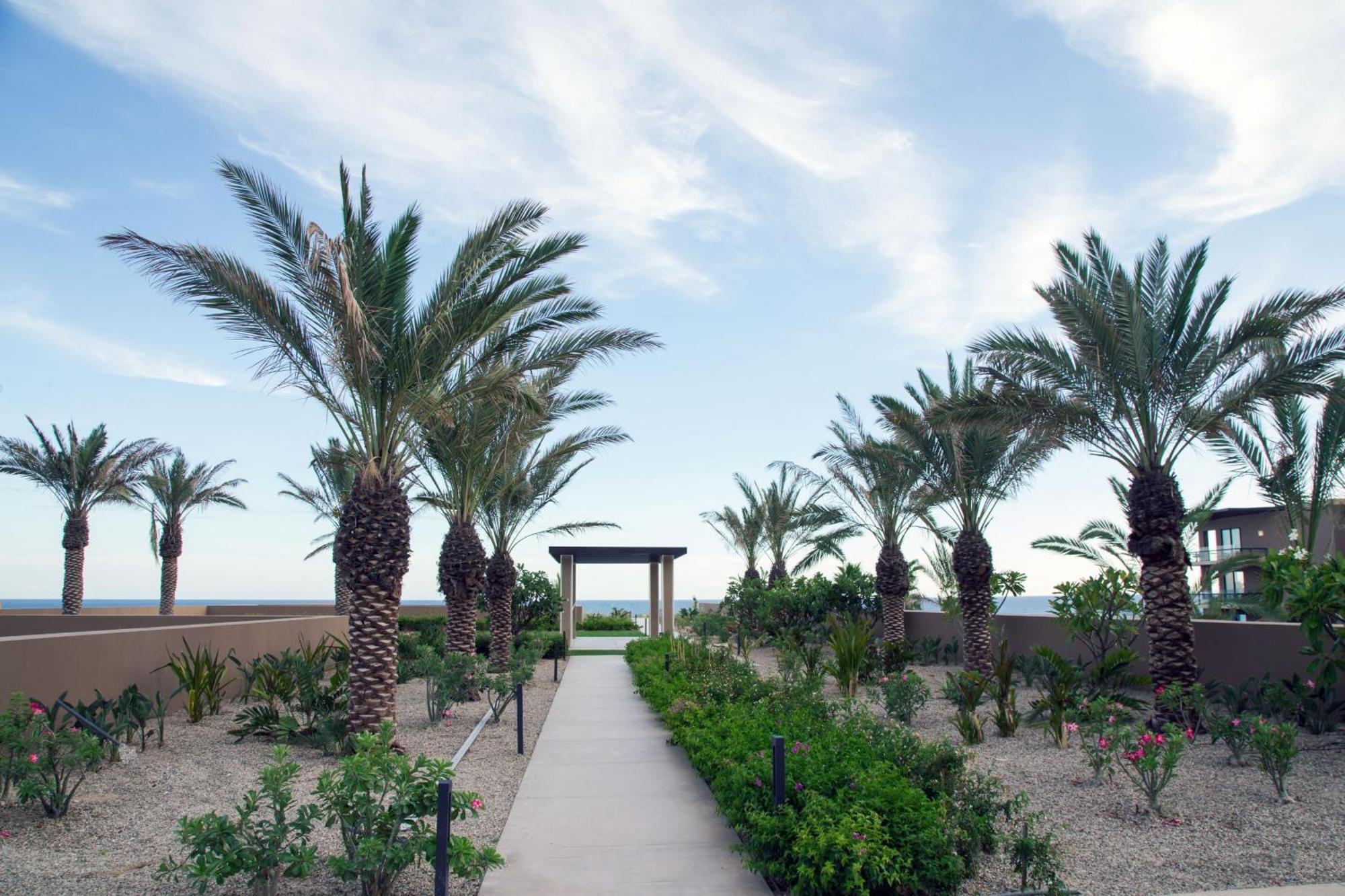 Casa Maat At Jw Marriott Los Cabos Beach Resort & Spa San Jose del Cabo Exterior photo